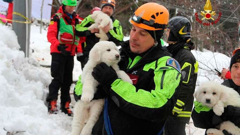 Uno de los miembros del equipo de rescate con un cachorro.