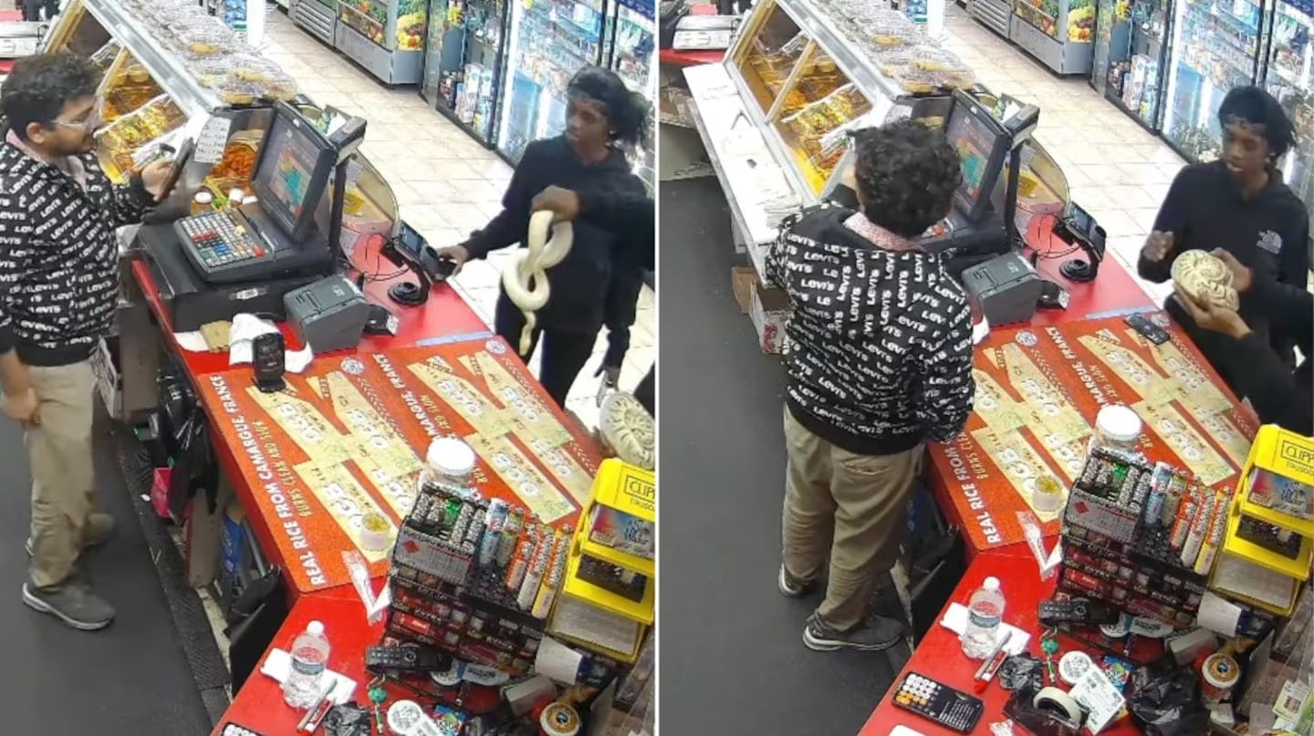 Usaron serpientes pitones para robar en un supermercado. (Foto: captura video)