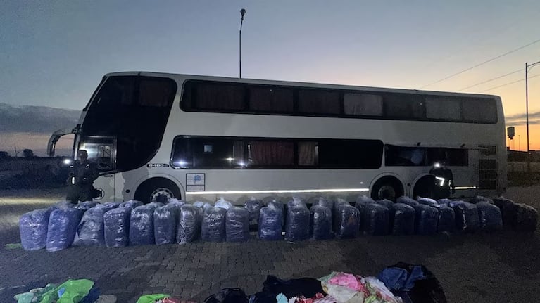 Usaron un “tour de compras” para trasladar hojas de coca: encontraron más de una tonelada