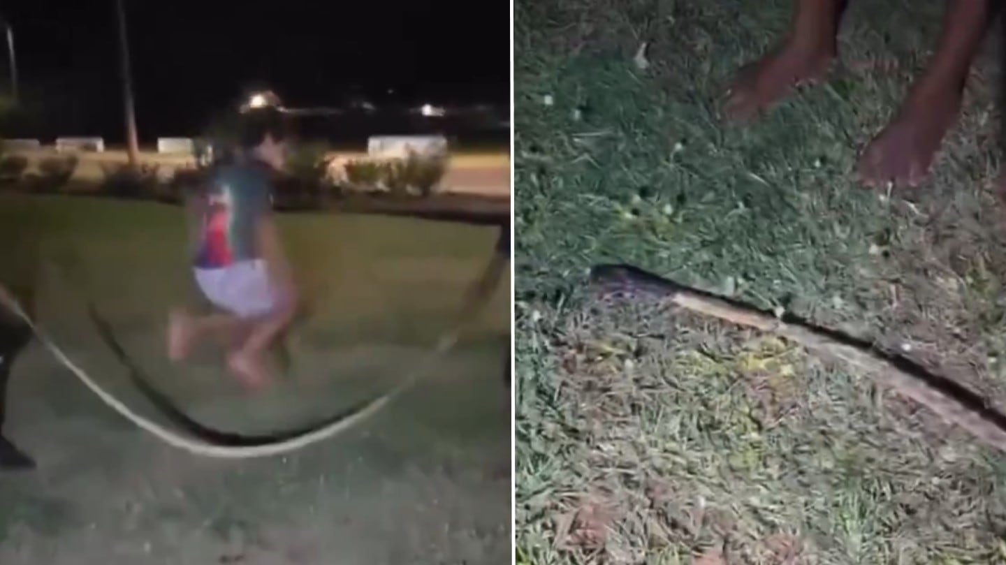 Usaron una serpiente para jugar. (Foto: captura video.)