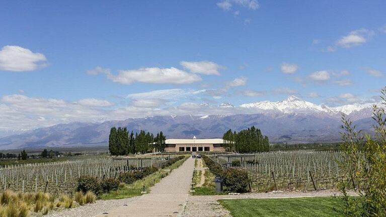 Vaciaron la caja fuerte y asaltaron a turistas en una bodega de Mendoza