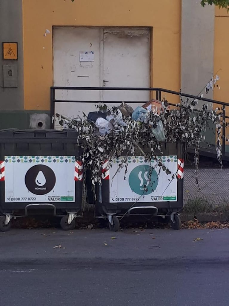 Vandalismo e insólito robo contra contenedores de basura