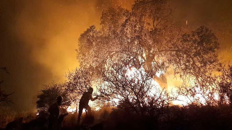 Varias dotaciones de bomberos trabajan en el lugar para contener el fuego.