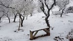 Varias localidades de las Sierras de Comechingones se vistieron de blanco con la nieve.