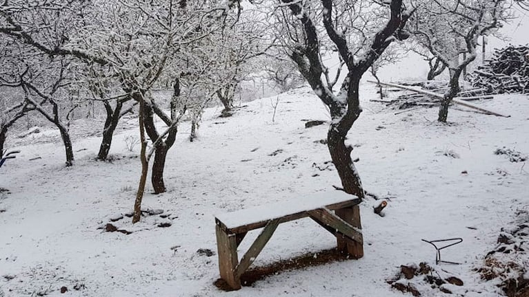 Varias localidades de las Sierras de Comechingones se vistieron de blanco con la nieve.