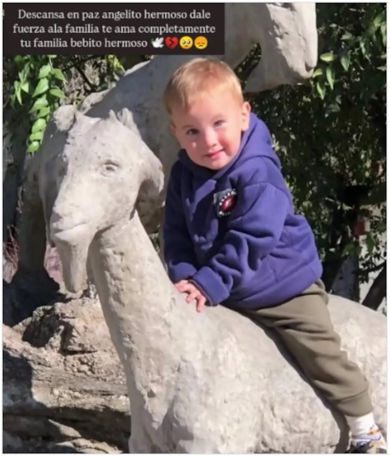“Vas a estar en un lugar mejor”: las desgarradoras despedidas al nene de 2 años atacado por un pitbull