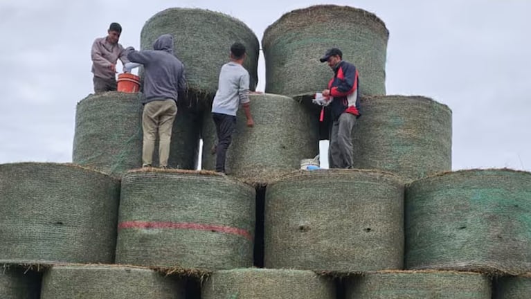 Vecinos de Morrison pintando rollos de alfalfa.