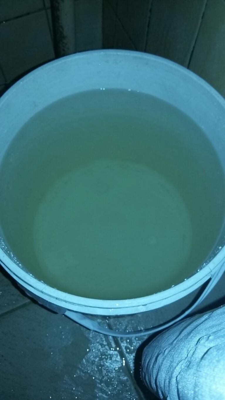 Vecinos de zona sur preocupados por el color del agua potable 