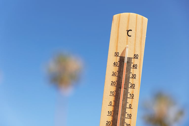 Verano seguro: recomendaciones esenciales contra el calor