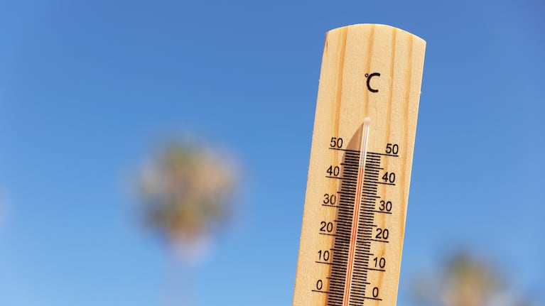 Verano seguro: recomendaciones esenciales contra el calor