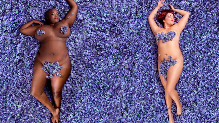 Versión fotográfica de "Belleza Americana".