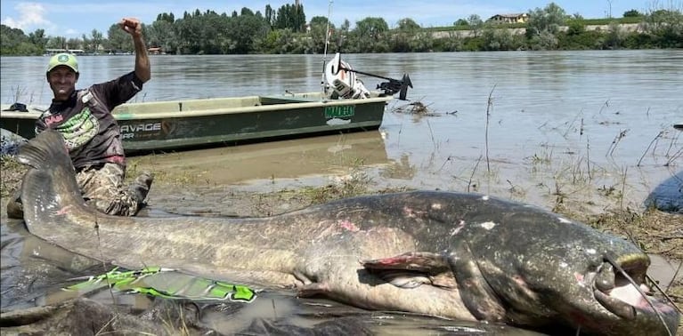 Video: atrapó un monstruoso pez de más de 3 metros de largo