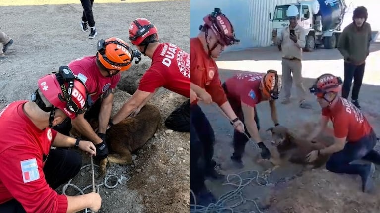 Video: dramático rescate de un perro que cayó a un pozo profundo en Córdoba