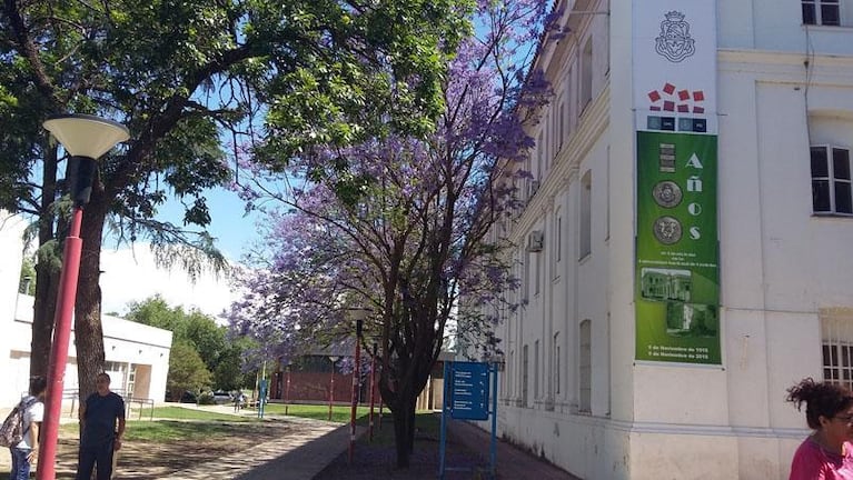 Video: el profesor de Odontología estuvo detenido por robar quesos en un súper