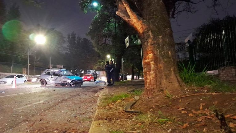 Video: iba a alta velocidad, perdió el control y chocó contra un árbol