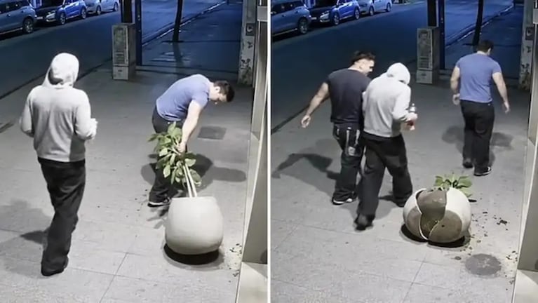 Video: rompieron la maceta de un local, los escracharon y volvieron para arreglarla