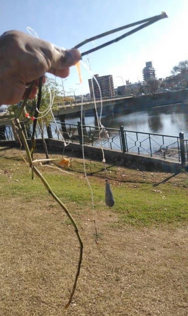 Video: salvó un pato herido con un anzuelo en el lago San Roque y pidió “más conciencia”