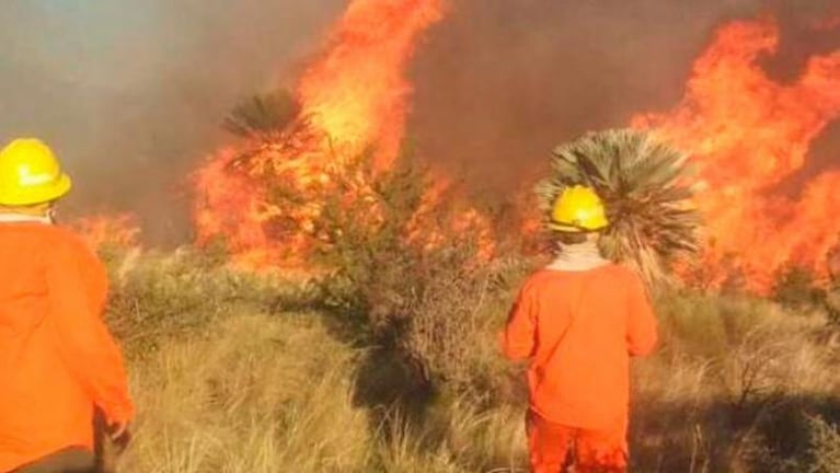 Videojuego para aprender sobre los incendios forestales