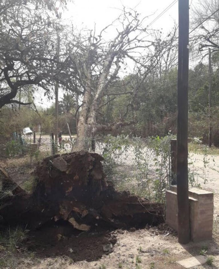 Viento y tierra en Córdoba: hay destrozos y heridos