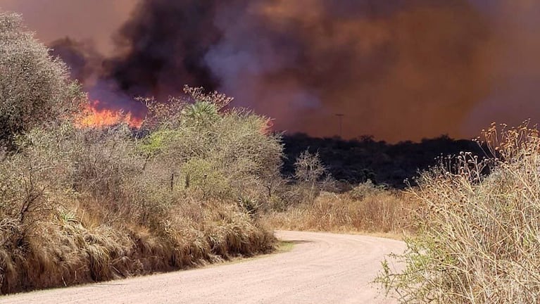 Viernes de calorón y alto riesgo de incendios en la provincia.