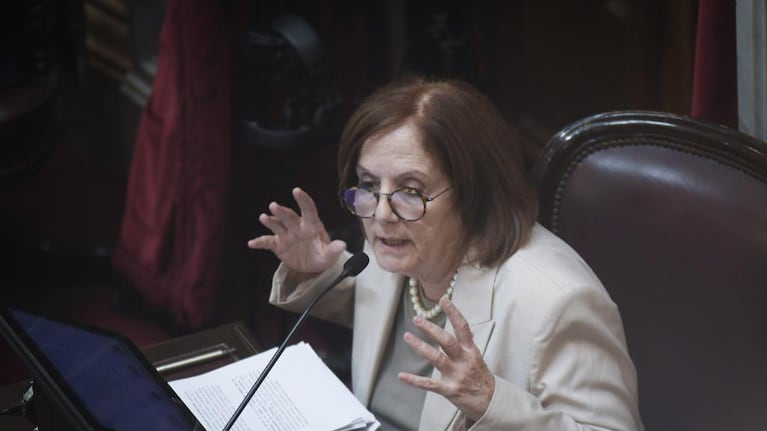 Vigo demostró su satisfacción ante la aprobación de la Ley.