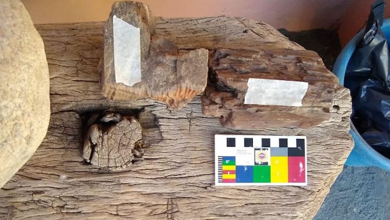 Villa Cabrera: secuestraron piezas arqueológicas de miles de años que se vendían por Internet