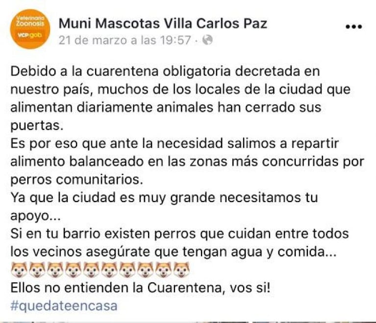 Villa Carlos Paz: la Municipalidad reparte comida a los perros callejeros de la ciudad