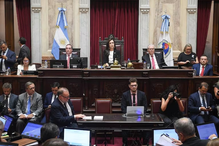 Villarruel en el Senado.