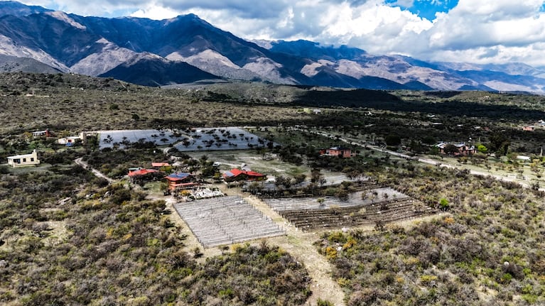 Viñedos  en San Javier y Yacanto (Foto: Lucho Casalla)