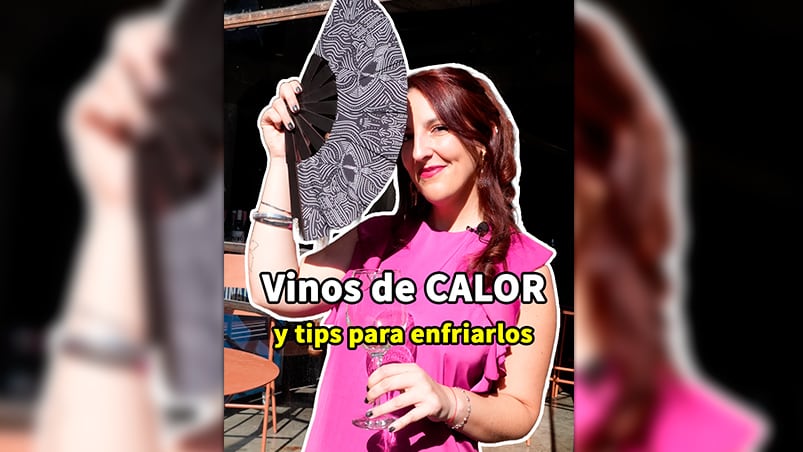 #VinoElViernes: qué vinos elegir en pleno calorón y los tips para enfriarlos en minutos