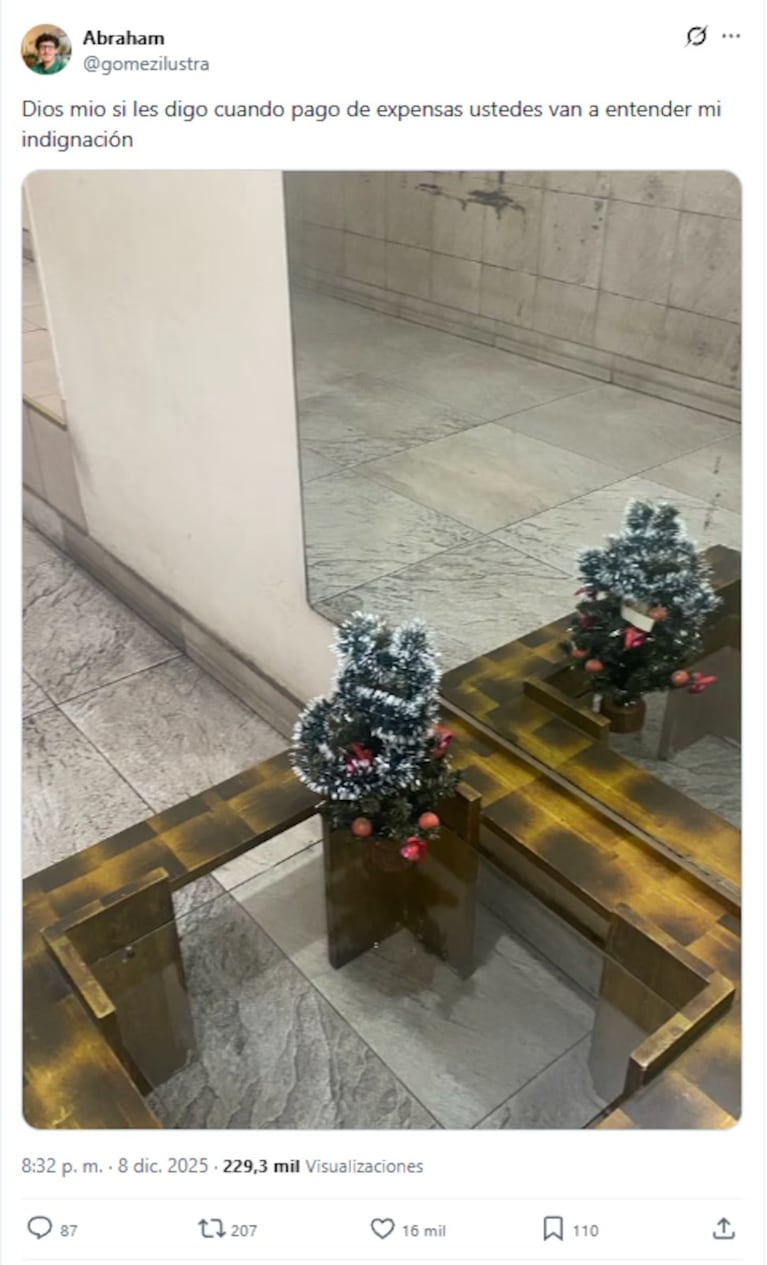 Vio el triste árbol de Navidad que armaron en su edificio y estalló de furia por el precio de las expensas