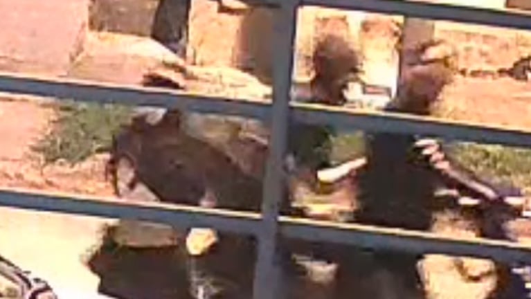 Violento asalto de motochoros a una joven