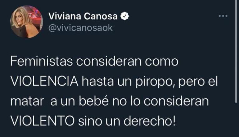 Viviana Canosa estalló contra las feministas a favor del aborto