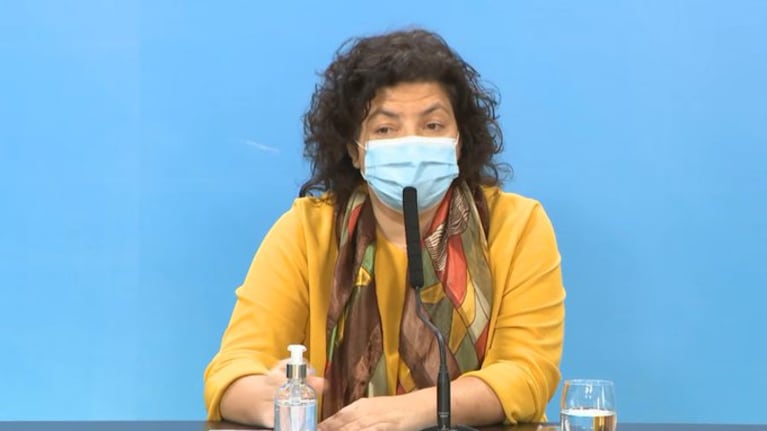 Vizzotti confirmó el acuerdo con Pfizer.