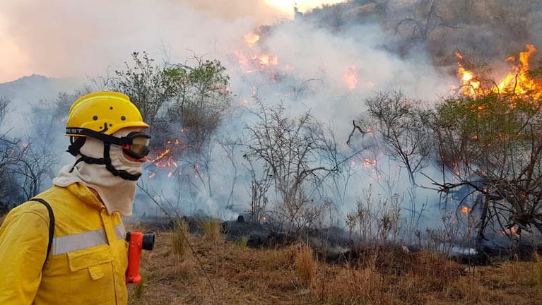 Voluntarios en los incendios: cobran beca cinco de cada 100 bomberos en Córdoba