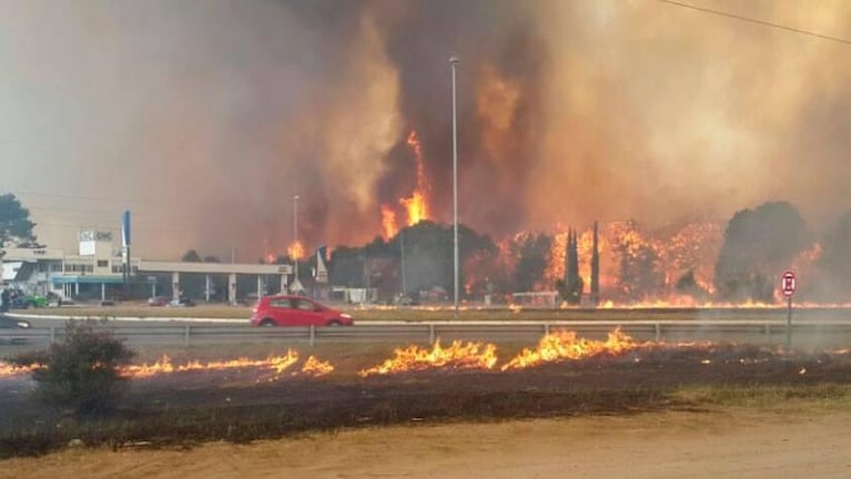Voraz incendio en los bosques de la costa argentina