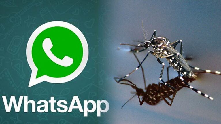 WhatsApp, el medio utilizado para crear pánico.