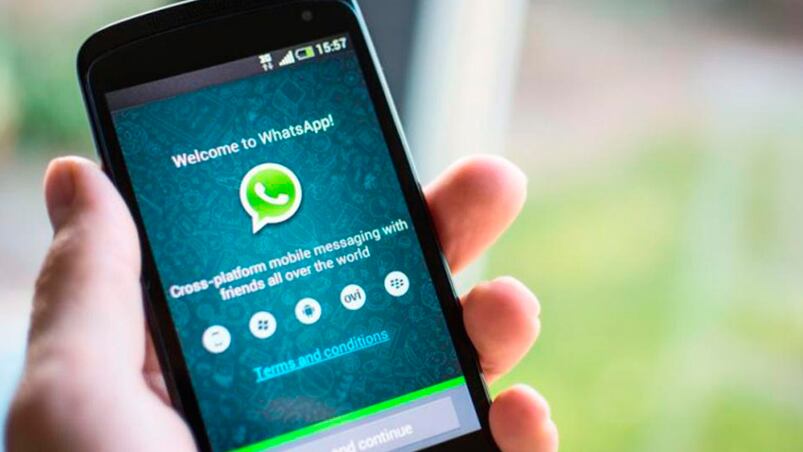 WhatsApp incorpora un nuevo formato: GIFs animados.