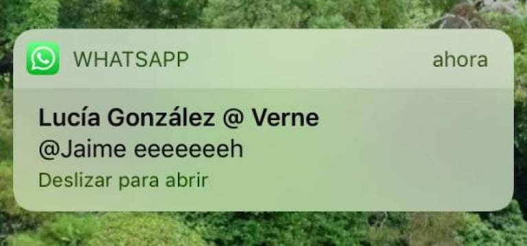 WhatsApp permite mencionar a los amigos en los grupos