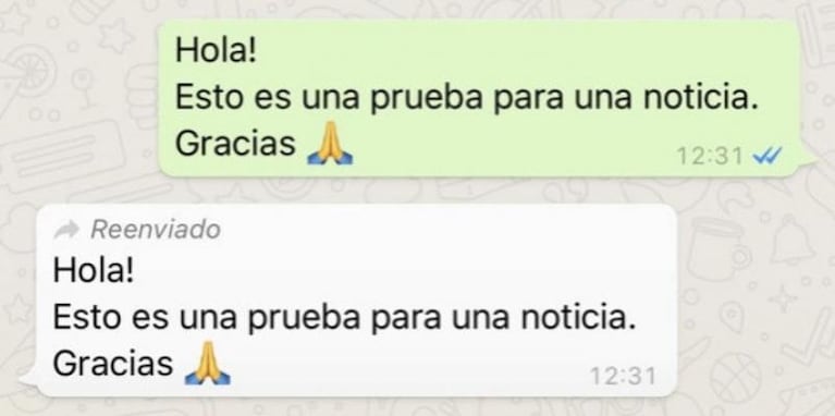 Whatsapp Ya Avisa Si Un Mensaje Es Reenviado Eldoce 1009