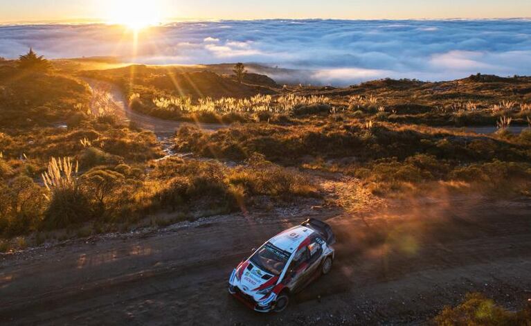 WRC: Argentina no será parte del Rally Mundial en 2021