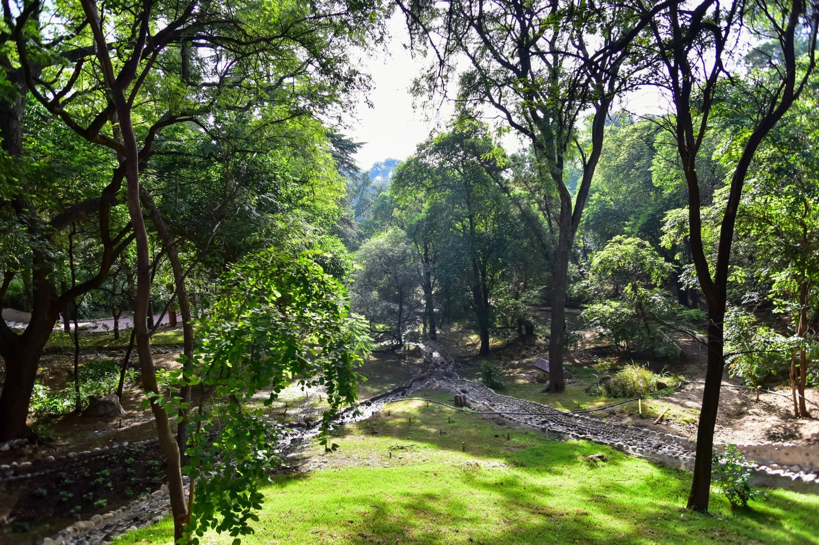 Ya se puede recorrer el nuevo espacio natural y urbano. Fotos: Municipalidad de Córdoba. 