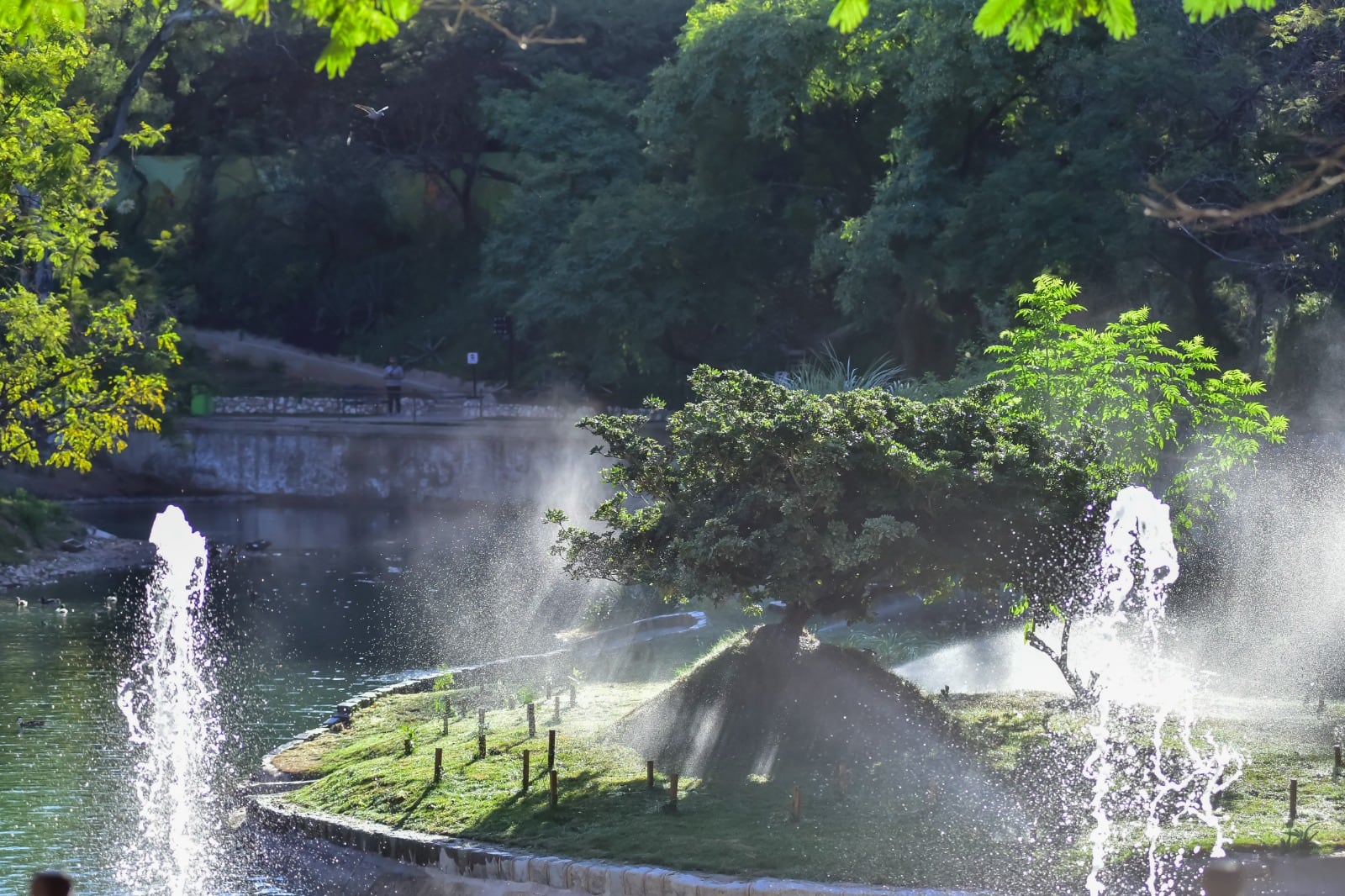 Ya se puede recorrer el nuevo espacio natural y urbano. Fotos: Municipalidad de Córdoba. 