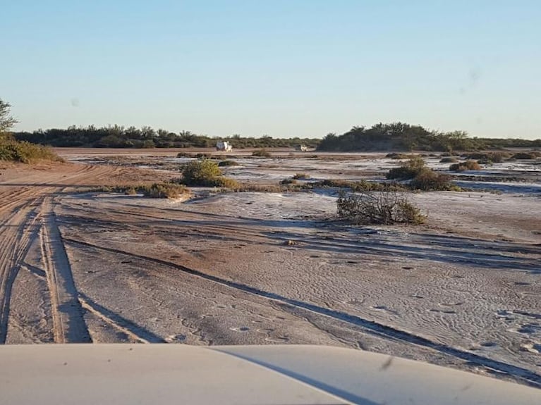 Yo también me hubiese muerto en las Salinas