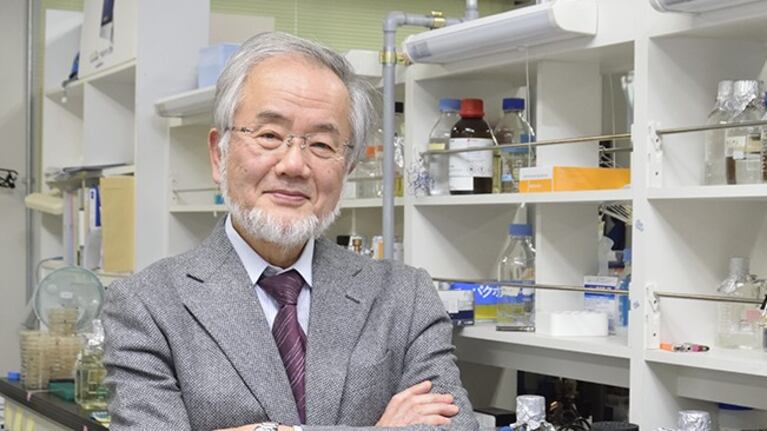 Yoshinori Ohsumi, el ganador del Nobel de Medicina 2016